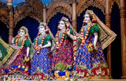 Daily Darshan