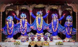 Daily Darshan
