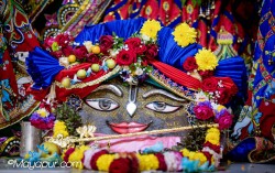 Daily Darshan