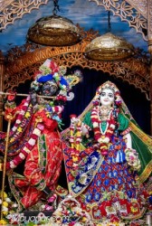 Daily Darshan