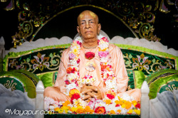 Daily Darshan