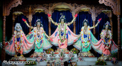 Daily Darshan