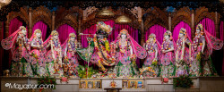 Daily Darshan
