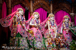 Daily Darshan