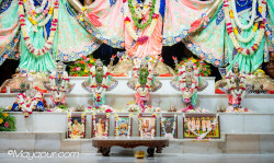 Daily Darshan