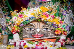 Daily Darshan