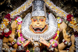 Daily Darshan