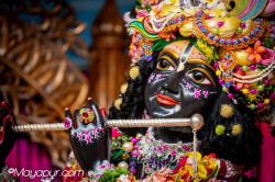 Daily Darshan