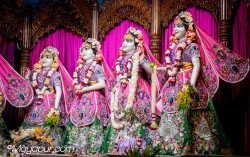 Daily Darshan