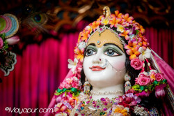 Daily Darshan