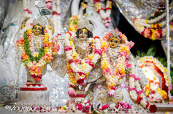 Daily Darshan