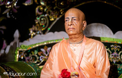 Daily Darshan