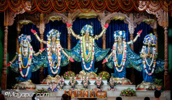 Daily Darshan