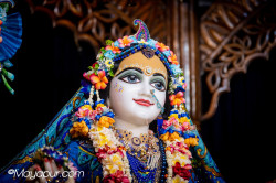 Daily Darshan
