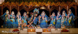 Daily Darshan