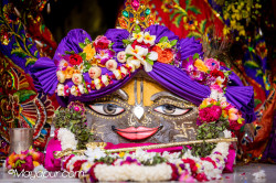 Daily Darshan