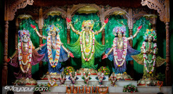Daily Darshan