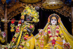 Daily Darshan