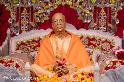 Daily Darshan