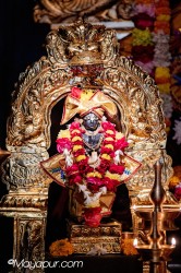Daily Darshan