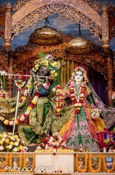 Daily Darshan