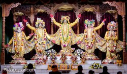 Daily Darshan