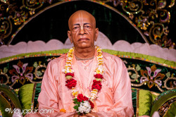 Daily Darshan