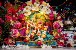 Daily Darshan