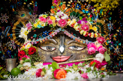 Daily Darshan