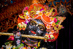 Daily Darshan