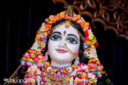 Daily Darshan