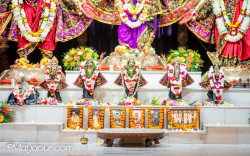 Daily Darshan