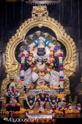 Daily Darshan