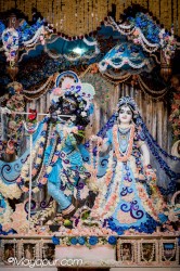 Daily Darshan