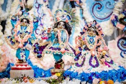 Daily Darshan