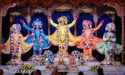 Daily Darshan