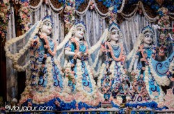 Daily Darshan