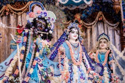 Daily Darshan