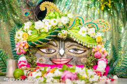 Daily Darshan