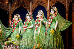 Daily Darshan