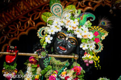 Daily Darshan