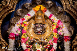 Daily Darshan