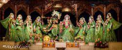 Daily Darshan