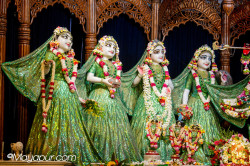 Daily Darshan