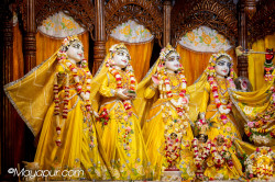 Daily Darshan