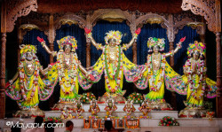 Daily Darshan
