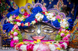 Daily Darshan