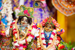 Daily Darshan