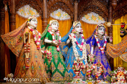 Daily Darshan