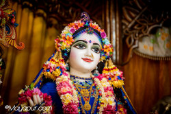 Daily Darshan